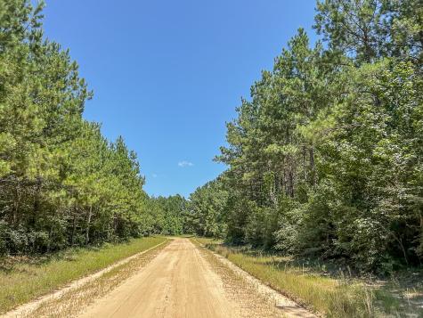 000 Creek 367 Zavalla TX 75980