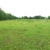 4147 Fuqua Street Houston TX 77048