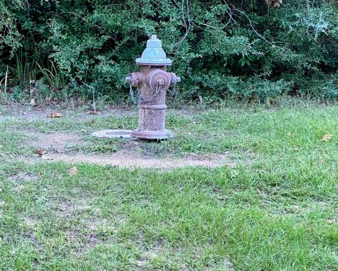 12627 Shady Wds Trail Montgomery TX 77316