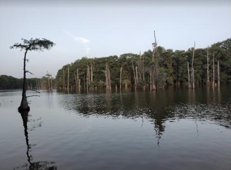 Lot 216 Jensen Drive Cleveland TX 77327