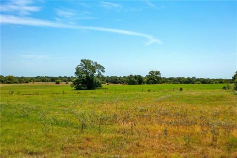 Tbd Fm-166 Farm To Market Road Caldwell TX 77836