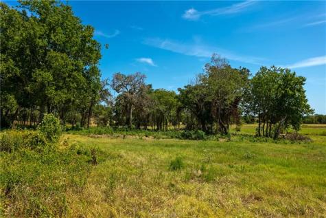Tbd Fm-166 Farm To Market Road Caldwell TX 77836