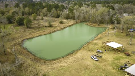 276 Hoot Owl Hollow Road Goodrich TX 77335