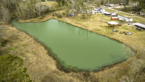 276 Hoot Owl Hollow Road Goodrich TX 77335
