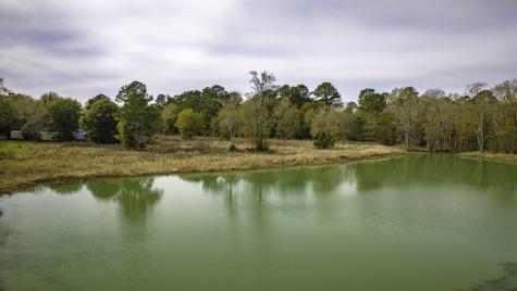 276 Hoot Owl Hollow Road Goodrich TX 77335