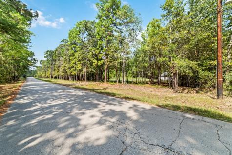 40719 Country Forest Drive Magnolia TX 77354