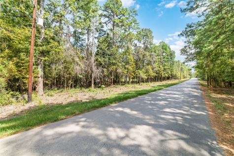 40719 Country Forest Drive Magnolia TX 77354