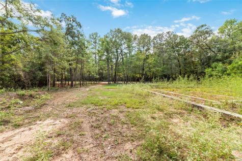 40719 Country Forest Drive Magnolia TX 77354