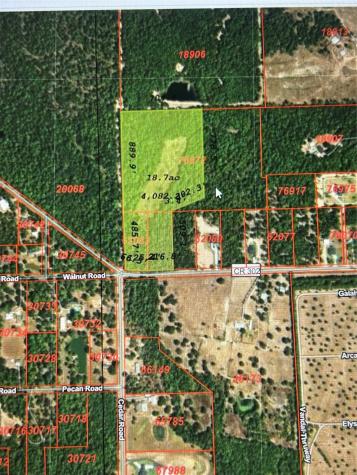 000 County Road 302 Plantersville TX 77363