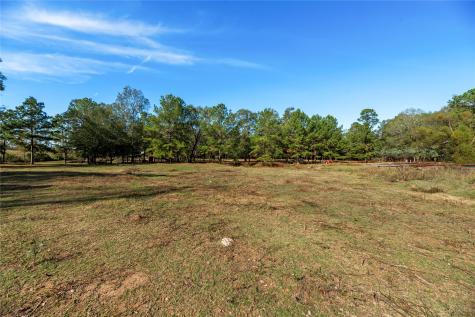 32130 Cypress Hollow Drive New Caney TX 77357