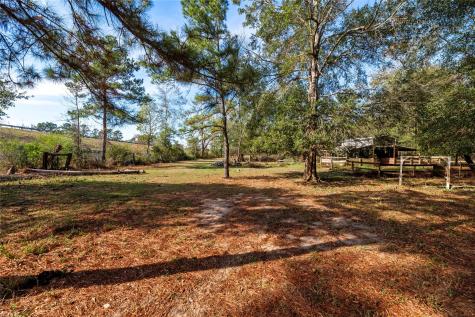 32130 Cypress Hollow Drive New Caney TX 77357