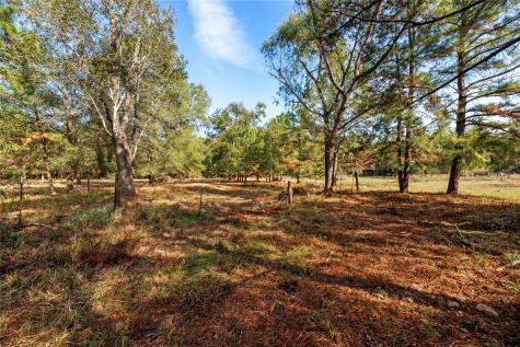 32130 Cypress Hollow Drive New Caney TX 77357