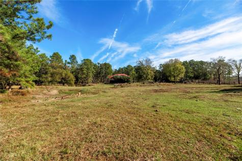 32130 Cypress Hollow Drive New Caney TX 77357