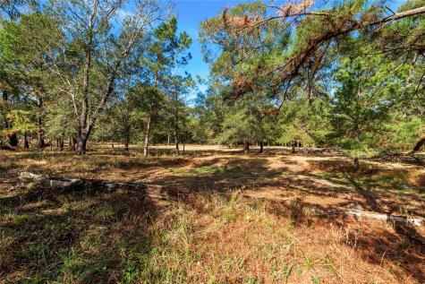 32130 Cypress Hollow Drive New Caney TX 77357