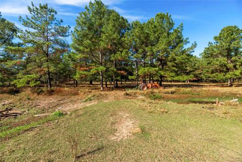 32130 Cypress Hollow Drive New Caney TX 77357