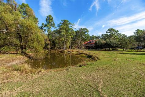 32130 Cypress Hollow Drive New Caney TX 77357
