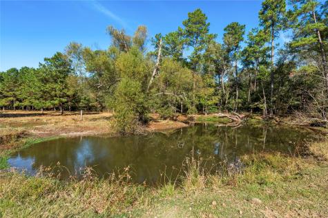 32130 Cypress Hollow Drive New Caney TX 77357