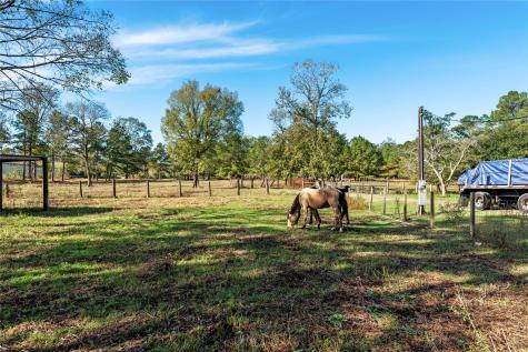 32130 Cypress Hollow Drive New Caney TX 77357