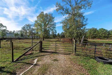 32130 Cypress Hollow Drive New Caney TX 77357