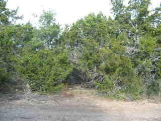 00 Old Trail Drive Bandera TX 78003