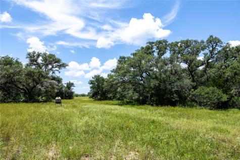 000 County Road 15aa Hallettsville TX 77964