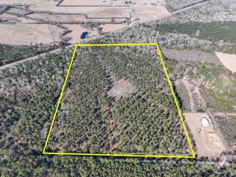 5 Louisville Road Pennington TX 75845