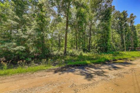 Lot 432 Parkpine Street Livingston TX 77351