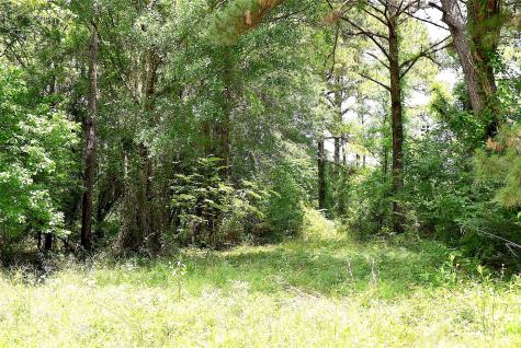 4414 Shady Lane Huntsville TX 77320