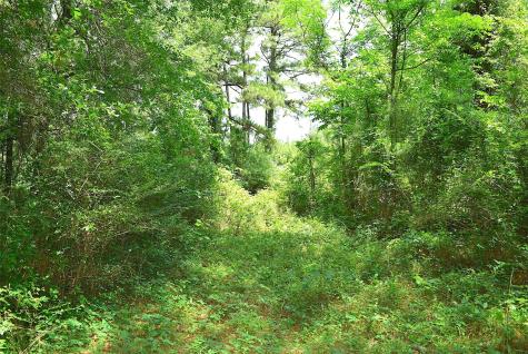 4414 Shady Lane Huntsville TX 77320
