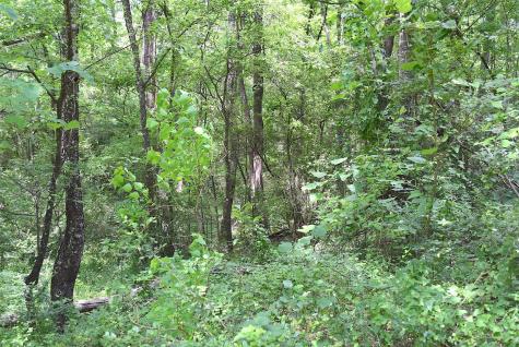 4414 Shady Lane Huntsville TX 77320