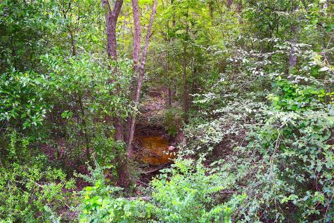 4414 Shady Lane Huntsville TX 77320