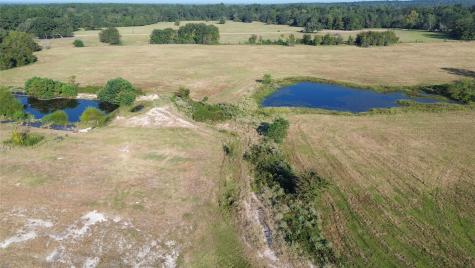 Tbd County Road 3495 Lovelady TX 75851