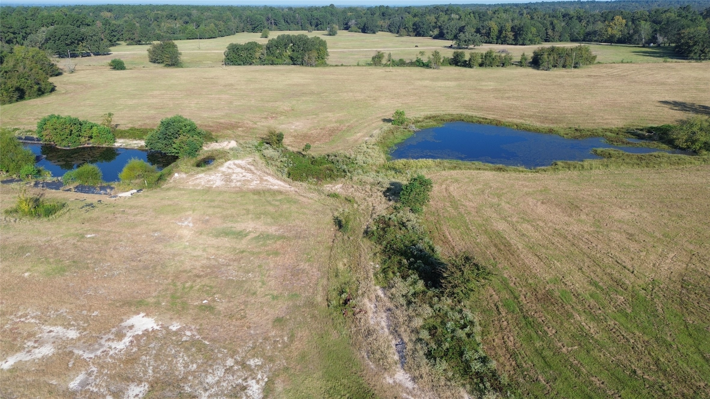 Tbd County Road 3495 Lovelady TX 75851