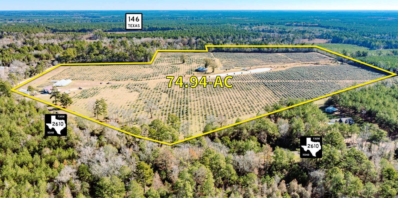 1201 Fm 2610 Livingston TX 77351