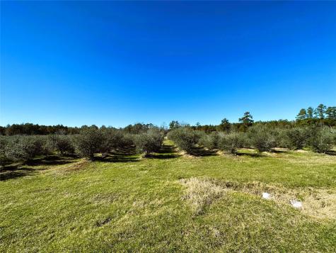 1201 Fm 2610 Livingston TX 77351