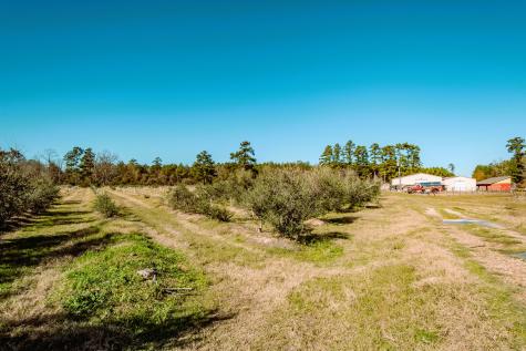 1201 Fm 2610 Livingston TX 77351