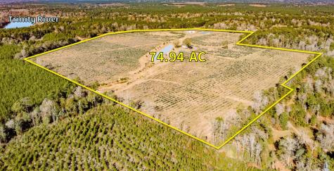 1201 Fm 2610 Livingston TX 77351