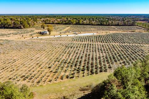 1201 Fm 2610 Livingston TX 77351