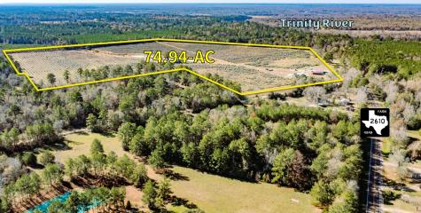 1201 Fm 2610 Livingston TX 77351