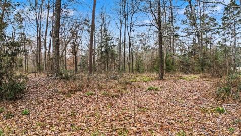 Tbd Us Highway 96 S Highway San Augustine TX 75972