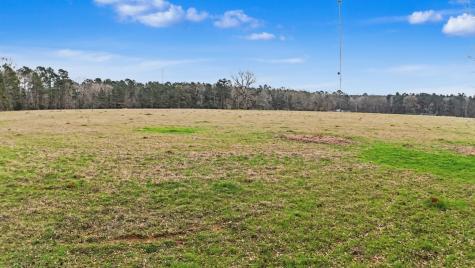 Tbd Us Highway 96 S Highway San Augustine TX 75972