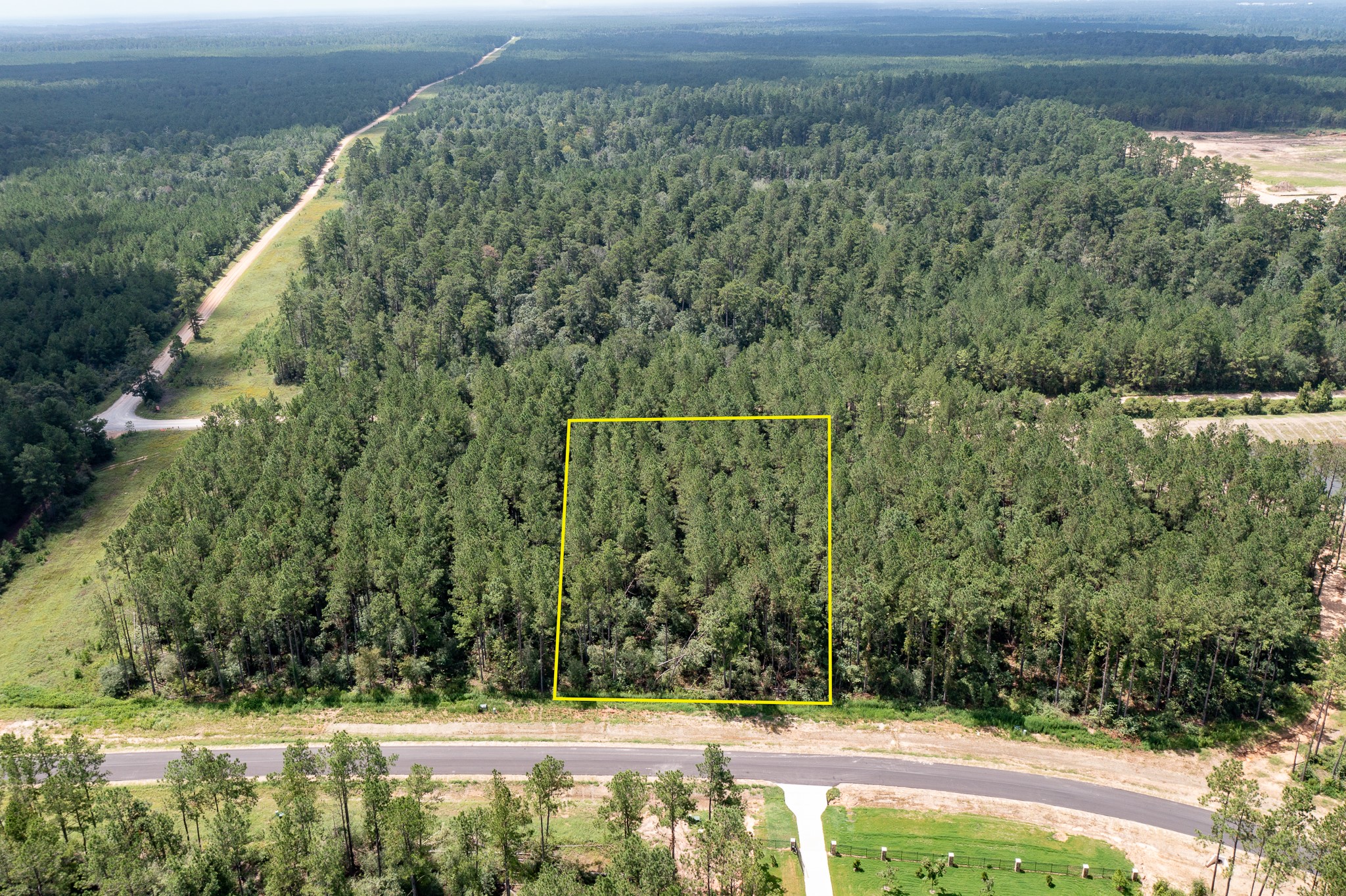 15291 Forest Grove Drive Willis TX 77378