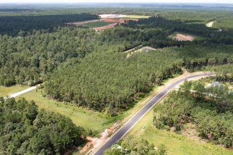 15291 Forest Grove Drive Willis TX 77378