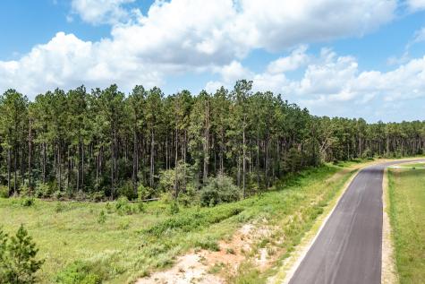 15291 Forest Grove Drive Willis TX 77378