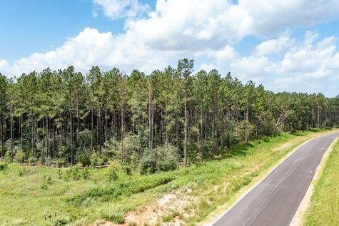 15291 Forest Grove Drive Willis TX 77378