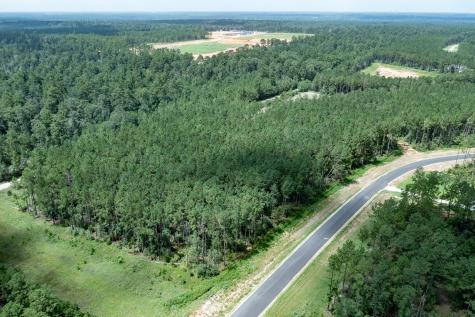 15291 Forest Grove Drive Willis TX 77378