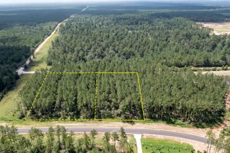15291 Forest Grove Drive Willis TX 77378