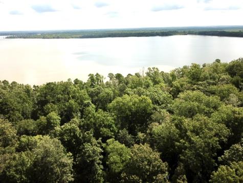 11.826+/- Acs Cr 4190 Woodville TX 75979