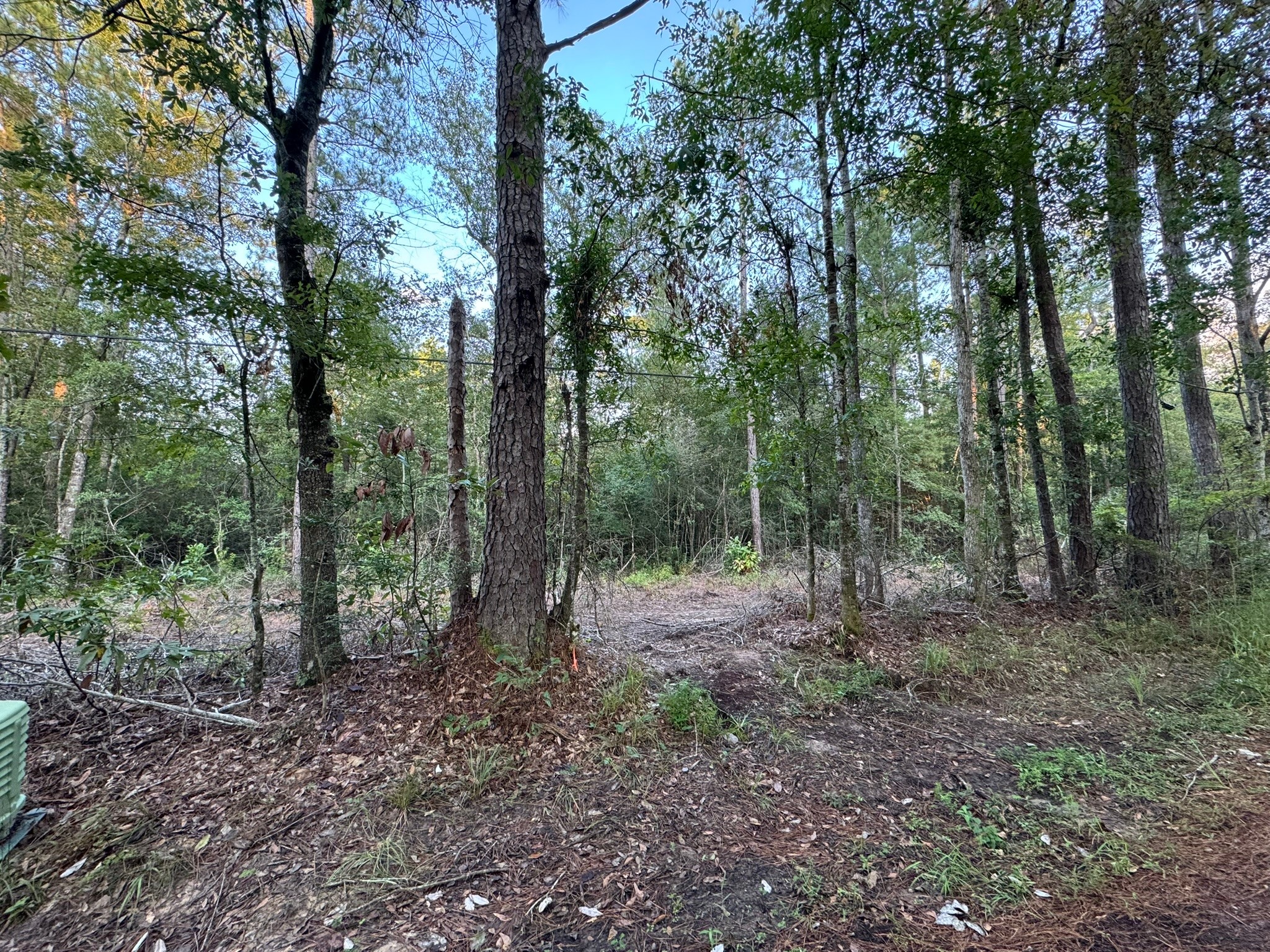 730 Cr 459 Kirbyville TX 75956