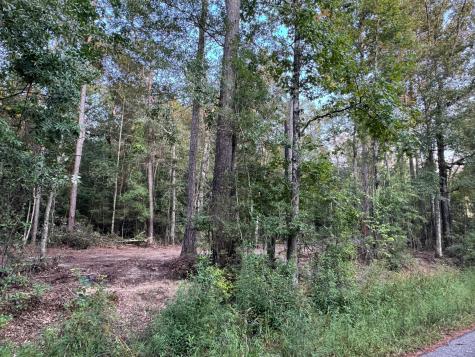 730 Cr 459 Kirbyville TX 75956